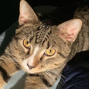 Meet your Posher, Jocelyn